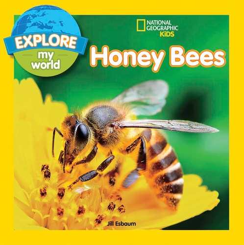 Honey Bees — Jill Esbaum