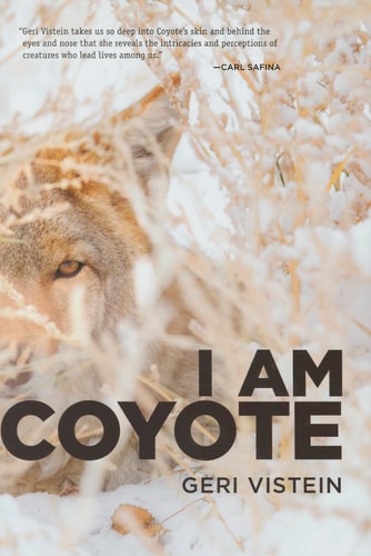 I Am Coyote — Geri Vistein
