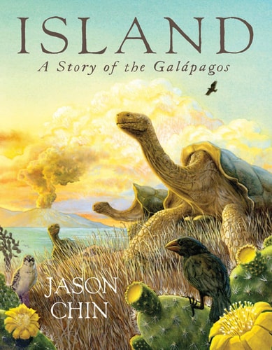 Island A Story of the Galápagos — Jason Chin