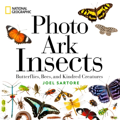 National Geographic Photo Ark Insects Butterflies, Bees, and Kindred Creatures — Joel Sartore