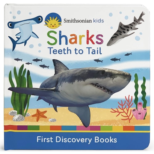 Smithsonian Kids Sharks Teeth to Tail — Jaye Garnett