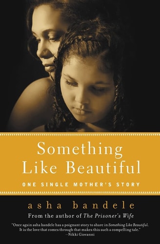 Something Like Beautiful One Single Mother’s Story — asha bandele
