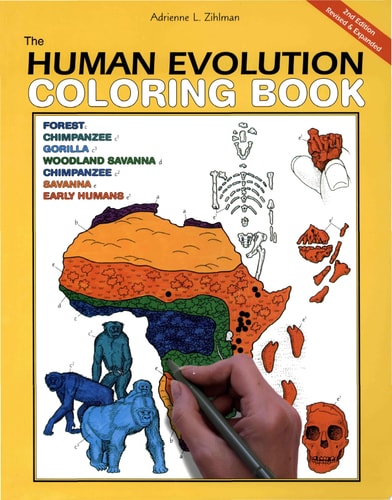 The Human Evolution Coloring Book, 2e — Coloring Concepts Inc.