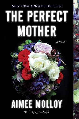 The Perfect Mother A Novel — Aimee Molloy
