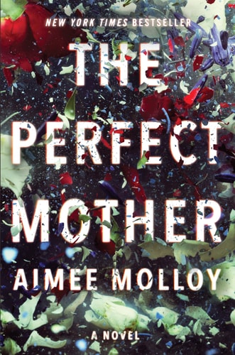 The Perfect Mother A Novel — Aimee Molloy