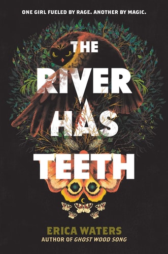 The River Has Teeth — Erica Waters