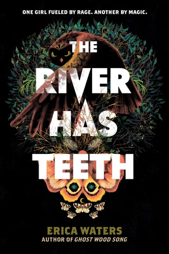 The River Has Teeth — Erica Waters