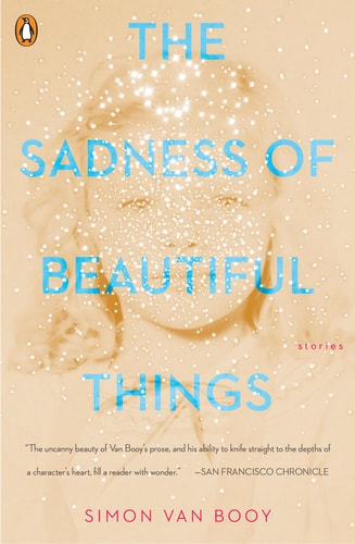 The Sadness of Beautiful Things Stories — Simon Van Booy