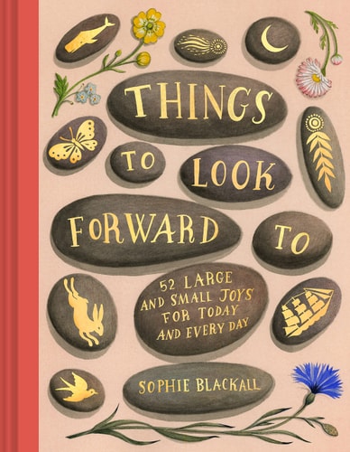Things to Look Forward to 52 Large and Small Joys for Today and Every Day — Sophie Blackall