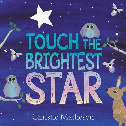 Touch the Brightest Star — Christie Matheson