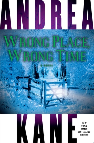 Wrong Place, Wrong Time A Novel — Andrea Kane