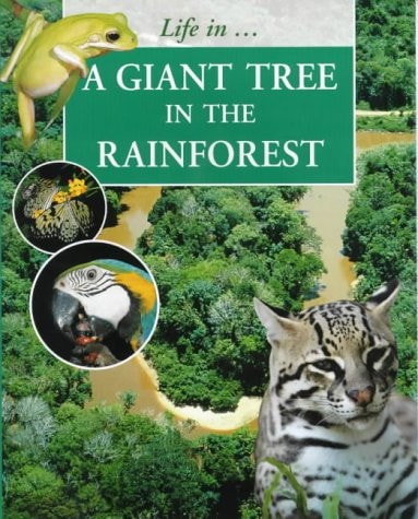 A Giant Tree in the Rainforest — Sally Morgan