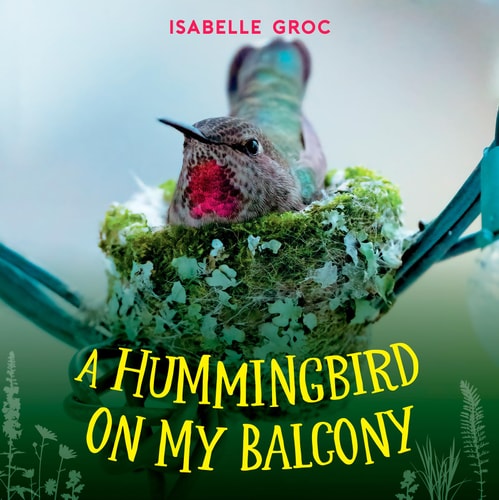 A Hummingbird on My Balcony — Isabelle Groc