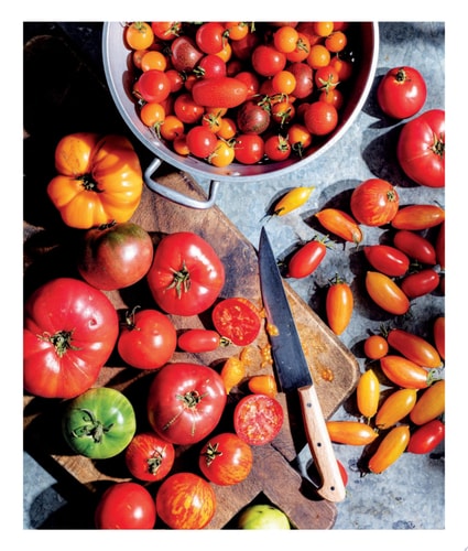 Alfresco 125 Recipes for Eating & Enjoying Outdoors (Entertaining Cookbook, Williams Sonoma Cookbook, Grilling Recipes) — Weldon Owen