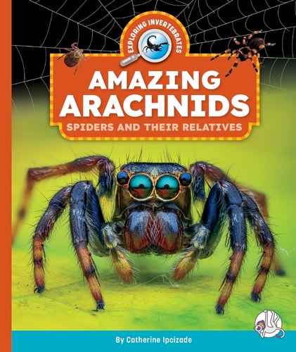 Amazing Arachnids Spiders and Their Relatives — Catherine Ipcizade