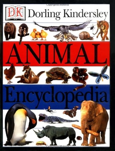 Animal Encyclopedia — Jayne Parsons
