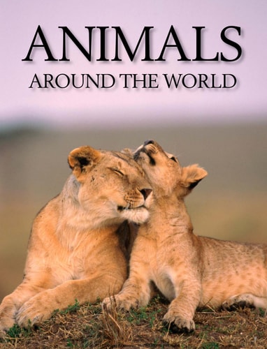 Animals Around the World — DK Publishing, Inc