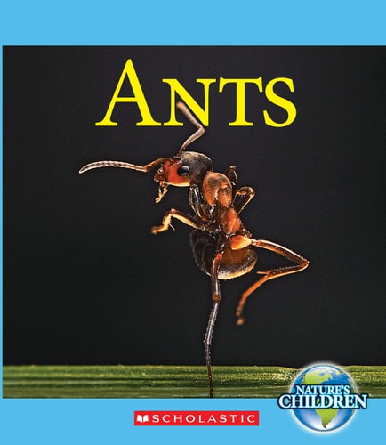 Ants — Josh Gregory