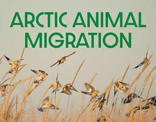 Arctic Animal Migration English Edition — Arvaaq Press