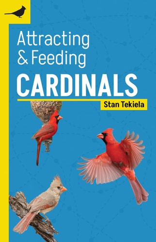 Attracting and Feeding Cardinals — Stan Tekiela