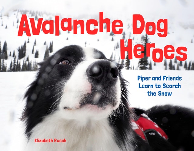 Avalanche Dog Heroes Piper and Friends Learn to Search the Snow — Elizabeth Rusch
