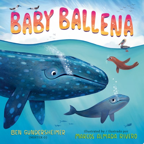 Baby Ballena (Bilingual English-Spanish Edition) — Ben Gundersheimer (Mister G)