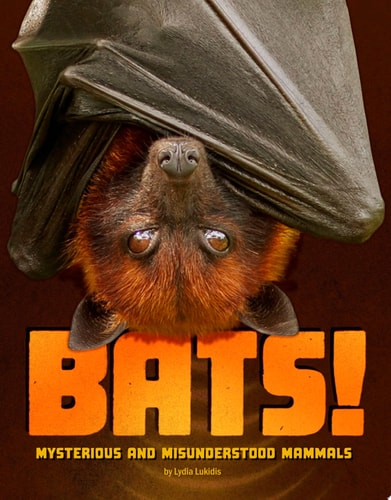 Bats! Mysterious and Misunderstood Mammals — Lydia Lukidis