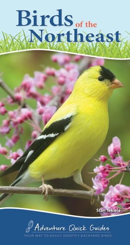 Birds of the Northeast — Stan Tekiela