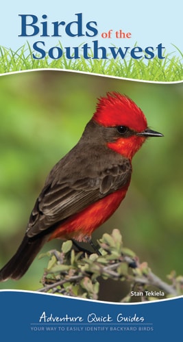 Birds of the Southwest Your Way to Easily Identify Backyard Birds — Stan Tekiela