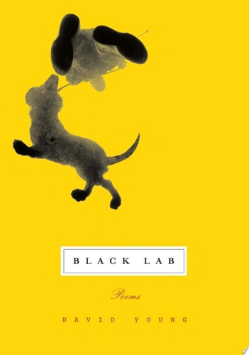 Black Lab Poems — David Young