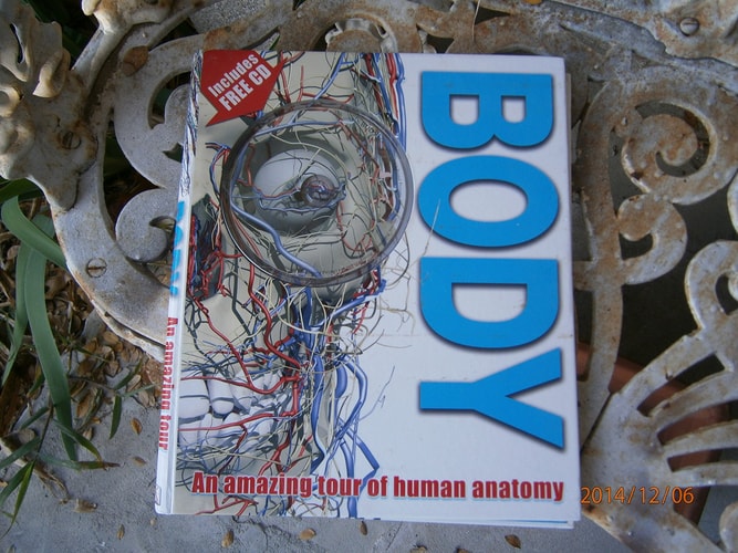 Body — Richard Walker