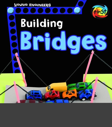 Building Bridges — Tammy Laura Lynn Enz