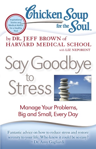 Chicken Soup for the Soul: Say Goodbye to Stress Manage Your Problems, Big and Small, Every Day — Dr. Jeff Brown