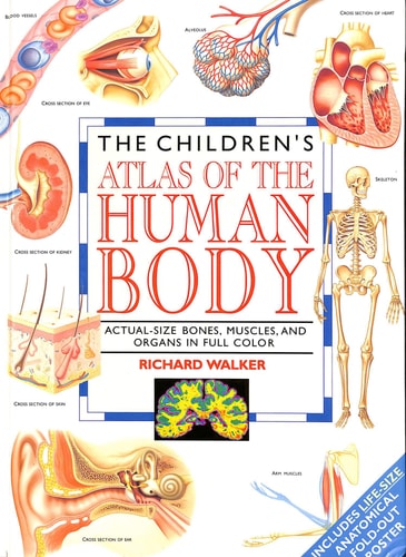 Child Atlas Human Body — Richard Walker