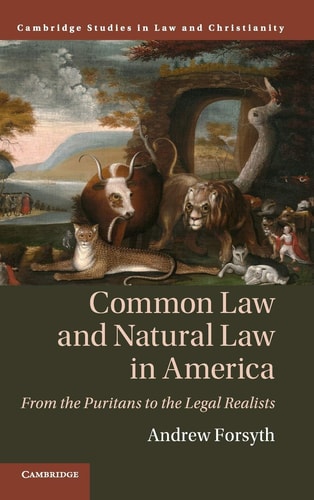 Common Law and Natural Law in America From the Puritans to the Legal Realists — Andrew Forsyth