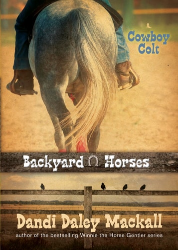 Cowboy Colt — Dandi Daley Mackall