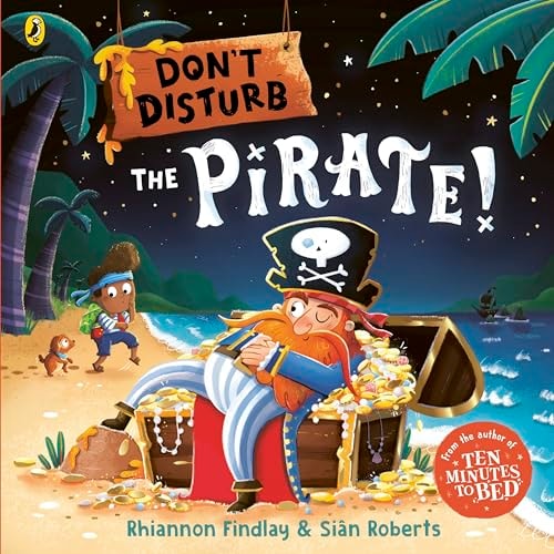 Don’t Disturb the Pirate — Rhiannon Findlay