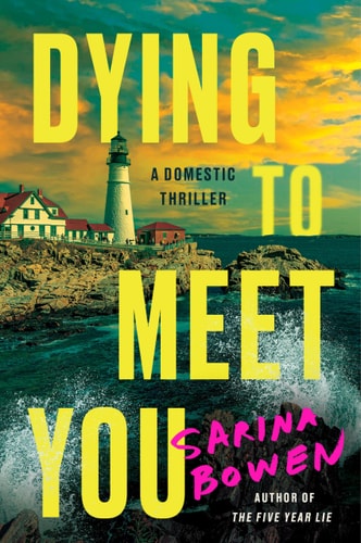 Dying to Meet You A Domestic Thriller — Sarina Bowen