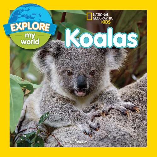 Explore My World Koalas — Jill Esbaum