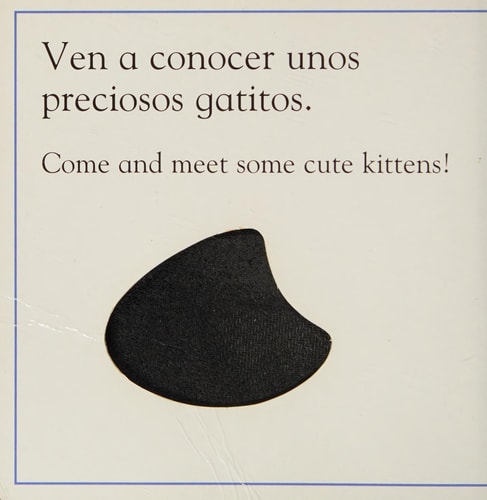Gatito — DK Publishing, Inc