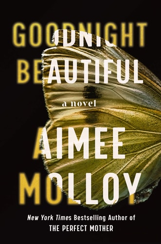 Goodnight Beautiful A Novel — Aimee Molloy