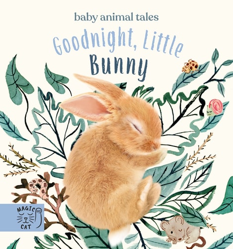 Goodnight, Little Bunny A Book about Being Brave — Amanda Wood