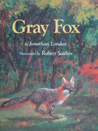Gray Fox — Jonathan London
