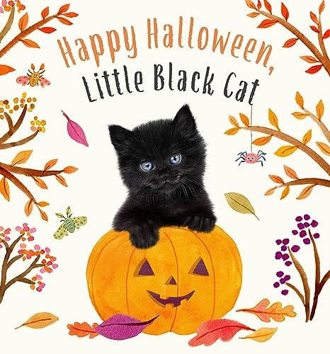 Happy Halloween, Little Black Cat A Board Book — Amanda Wood