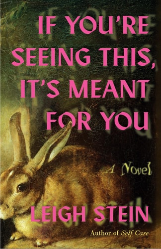 If You’re Seeing This, It’s Meant for You A Novel — Leigh Stein