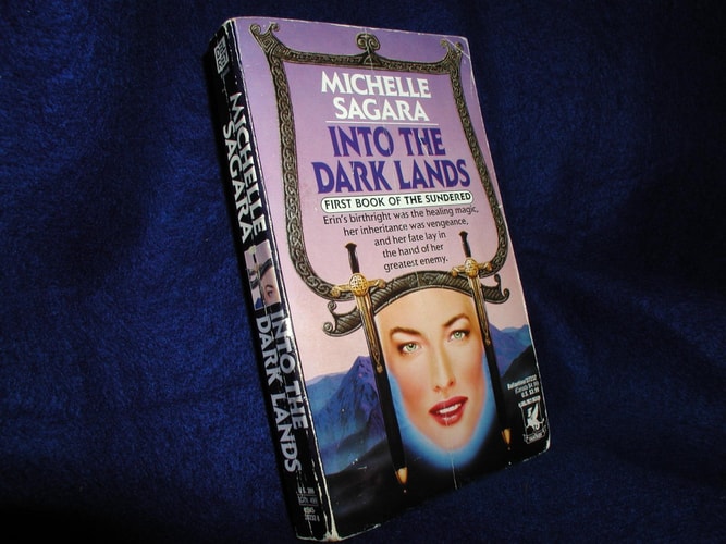 Into the Dark Lands — Michelle Sagara