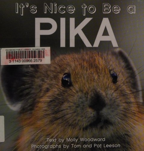 It’s Nice to Be a Pika — Molly Woodward