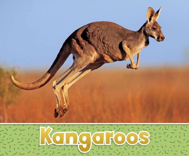 Kangaroos — Sara Louise Kras