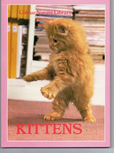 Kittens — David Gibbon