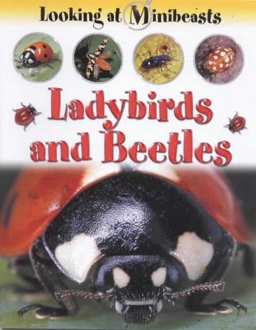 Ladybirds and Beetles — Sally Morgan